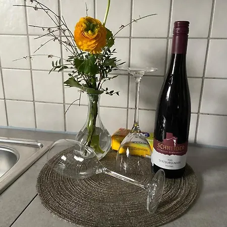 Appartement Toms Ferienhuette *