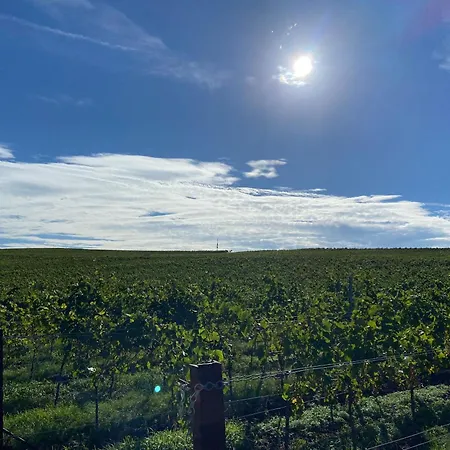 Toms Ferienhuette Daire *