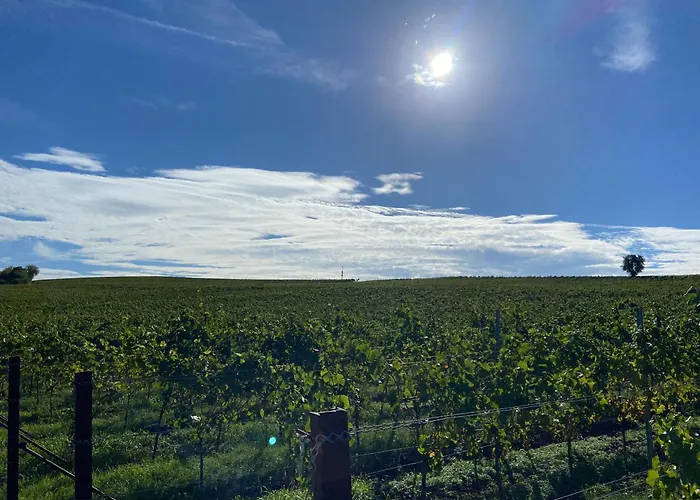 Toms Ferienhuette Daire *