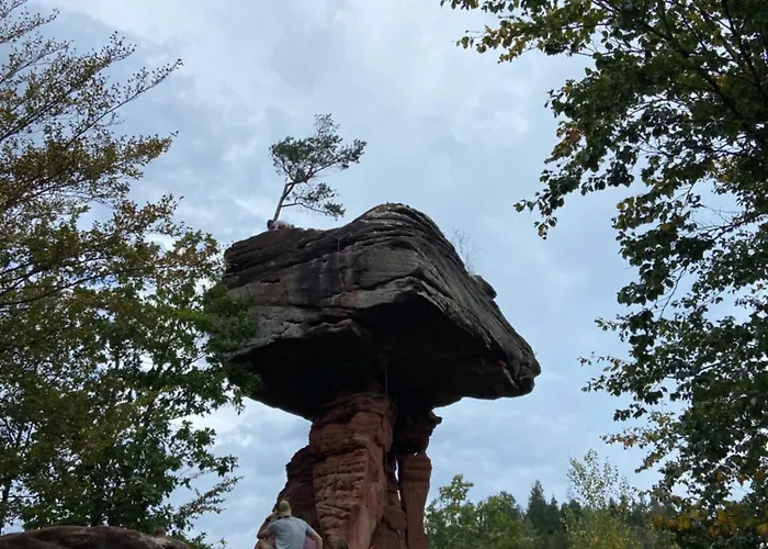 Toms Ferienhuette Annweiler am Trifels